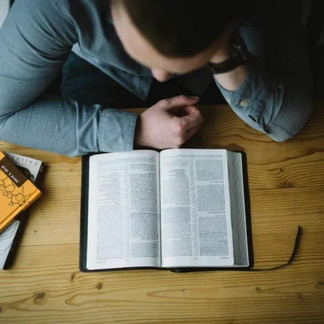 alexander-michl-g8PFVtzzkYA-unsplash-1024x684